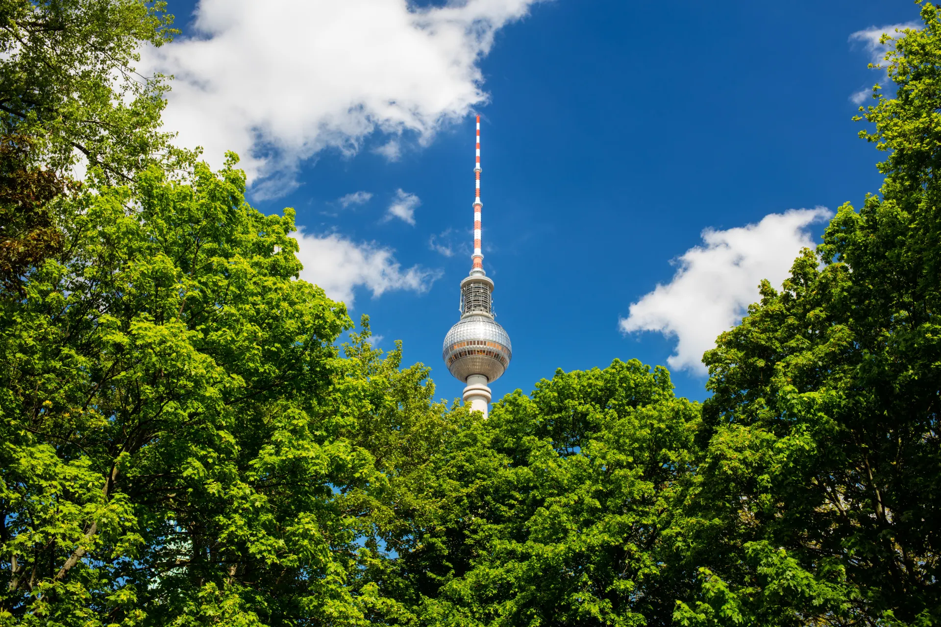 Grüner Strom in Berlin von NEW Energie.