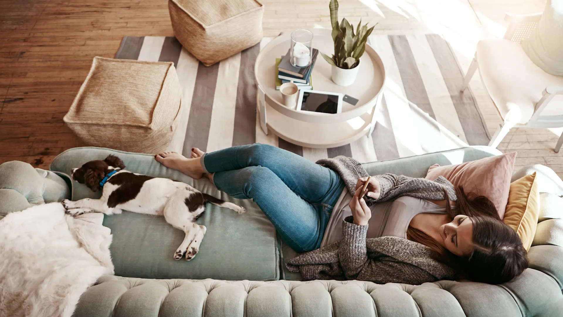 Frau schaut über ihr Smartphone nach Stromtarifen Eine Frau liegt mit ihrem Hund im Wohnzimmer auf dem Sofa und schaut nach Stromtarifen der NEW Energie.