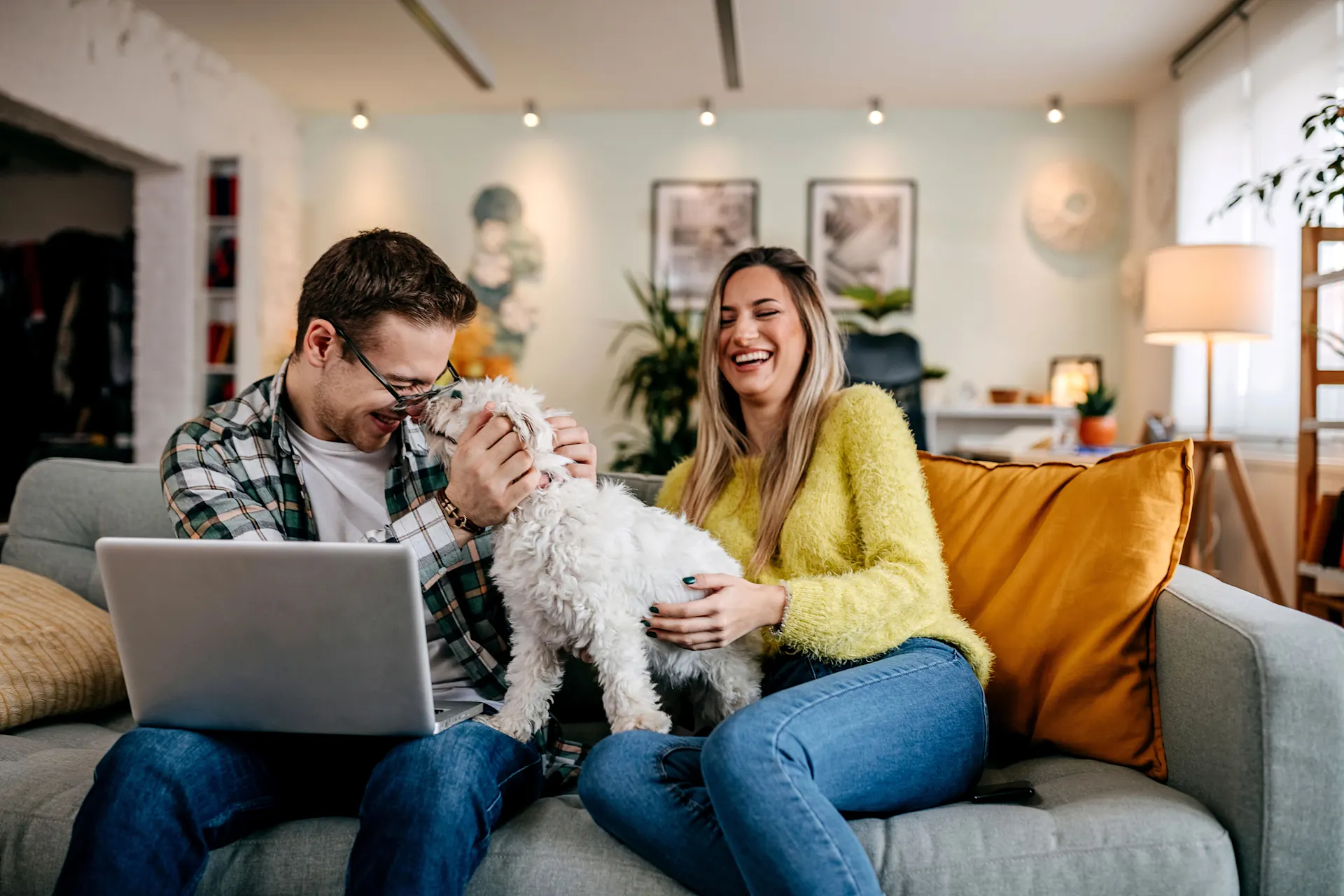 Mehrfachempfehlung bei der NEW Energie Ein Mann sitzt mit einer Frau sowie Hund und Laptop auf dem Sofa. Sie informieren sich über das Weiterempfehlungsprogramm der NEW Energie.
