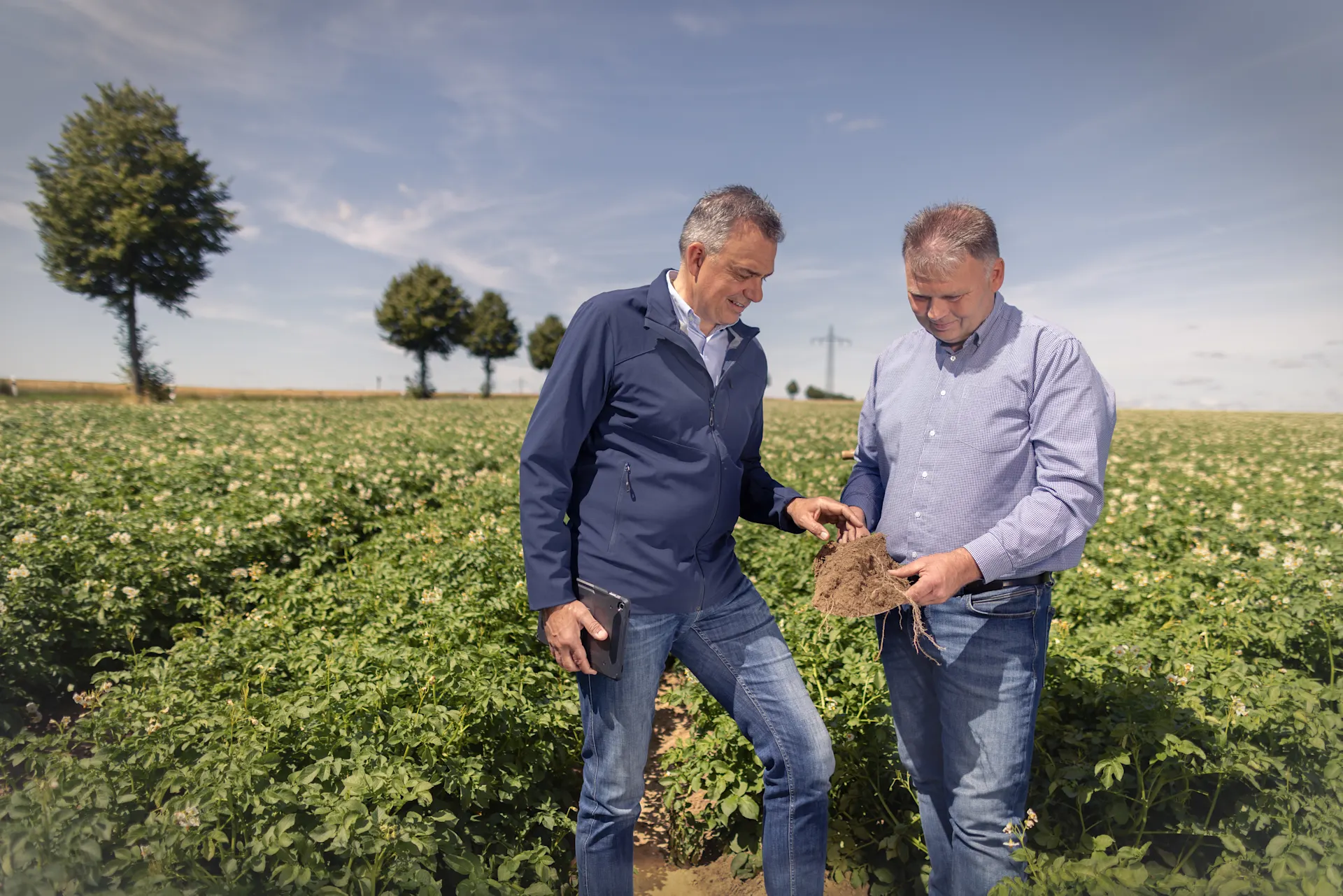 Zwei Männer mittleren Alters stehen in einem Kartoffelfeld und betrachten frisch geerntete Kartoffeln mit anhaftender Erde. Die Szene zeigt eine landwirtschaftliche Begutachtung bei Tageslicht mit grünen Kartoffelpflanzen im Vordergrund und Bäumen im Hintergrund. 
