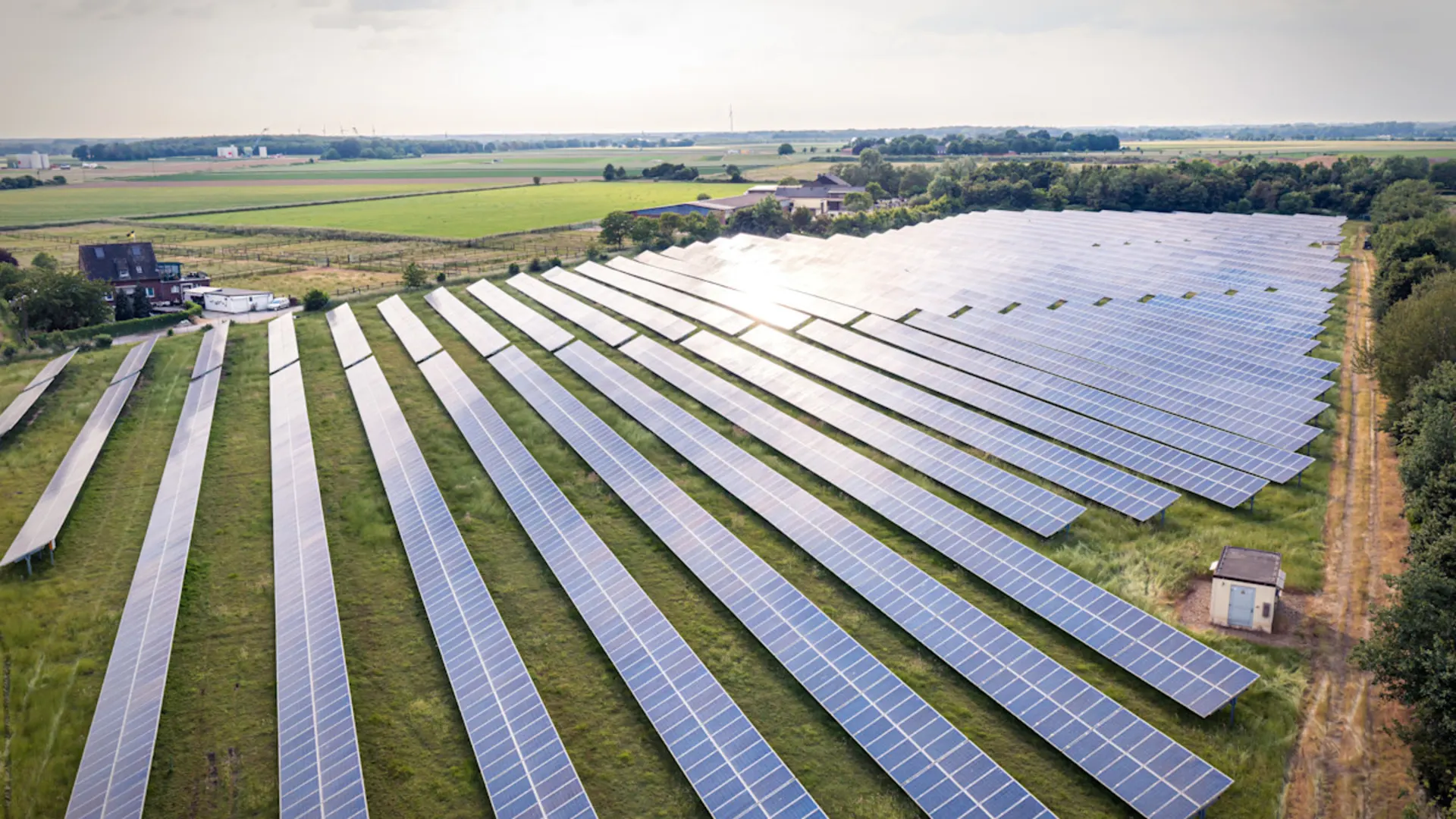 NEW-AG-Regenerative-Energie-DJI0313 Ein Feld mit Reihen von Solaranlagen.