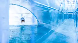NEW-AG-Wasserwerk-Helenabrunn-LECX3484 Reinwasserbehälter im Wasserwerk Helenabrunn