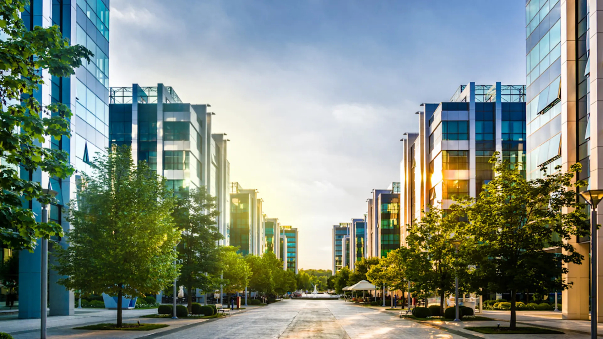 Smart City GmbH Blick auf der Straße geradeaus durch. Links und rechts Bäume mit Glashäusern dahinter.
