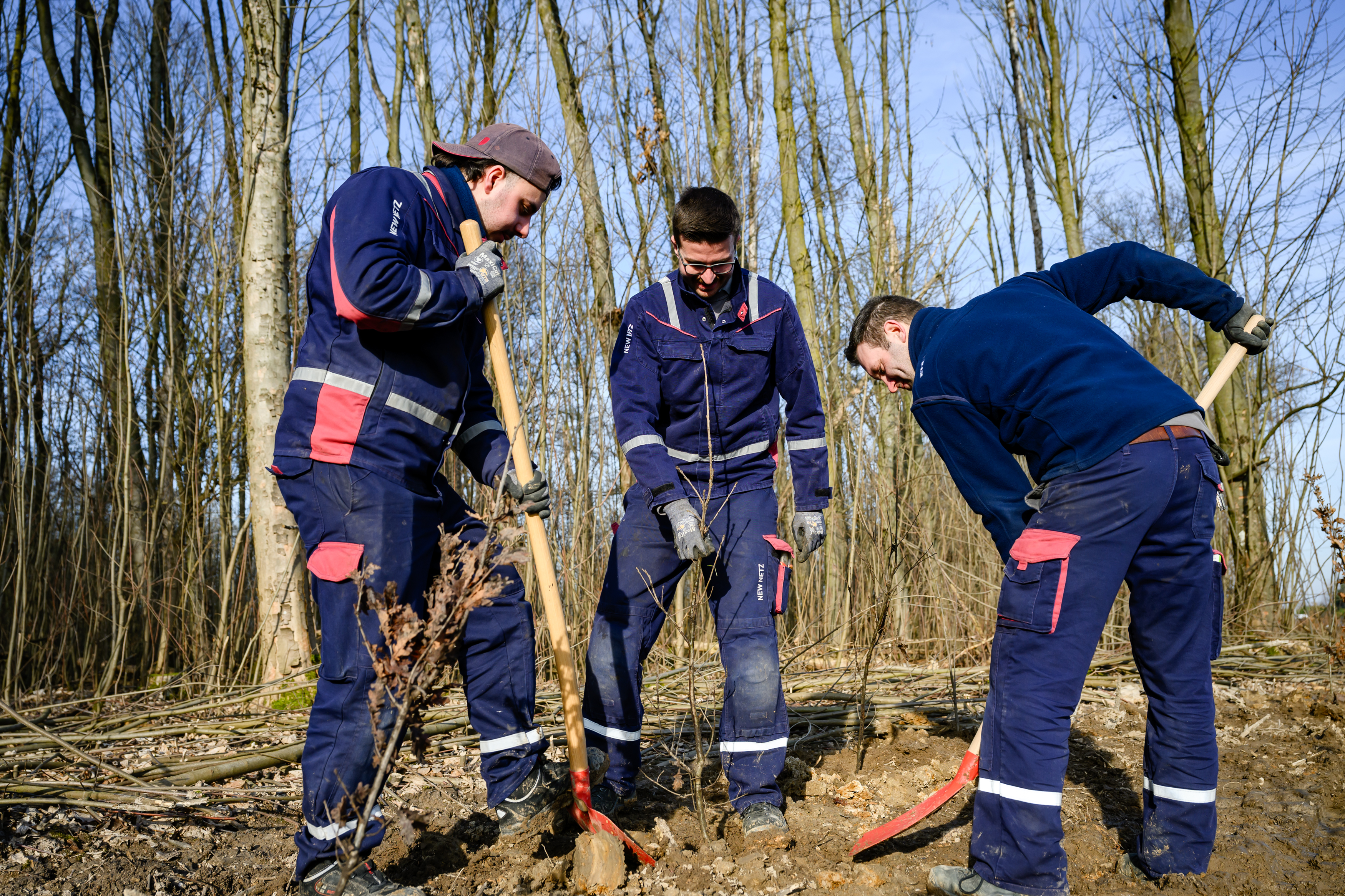 NEW Mitarbeitende pflanzen 2.000 Bäume in Viersen