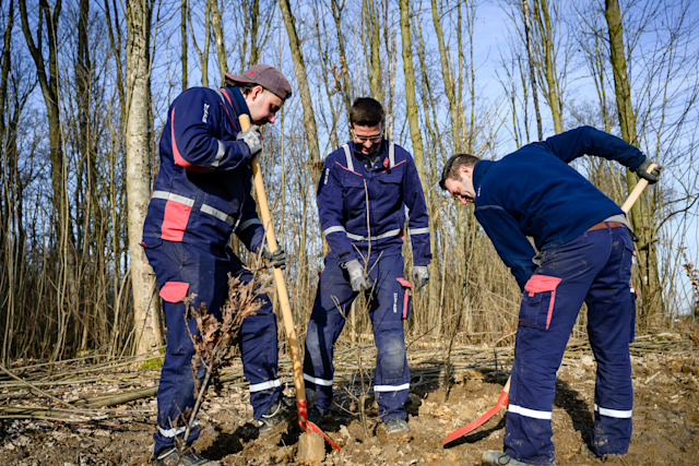 NEW pflanzt 2.000 Bäume in Viersen – Mitarbeitende sammeln Bewegungskilometer für den guten Zweck