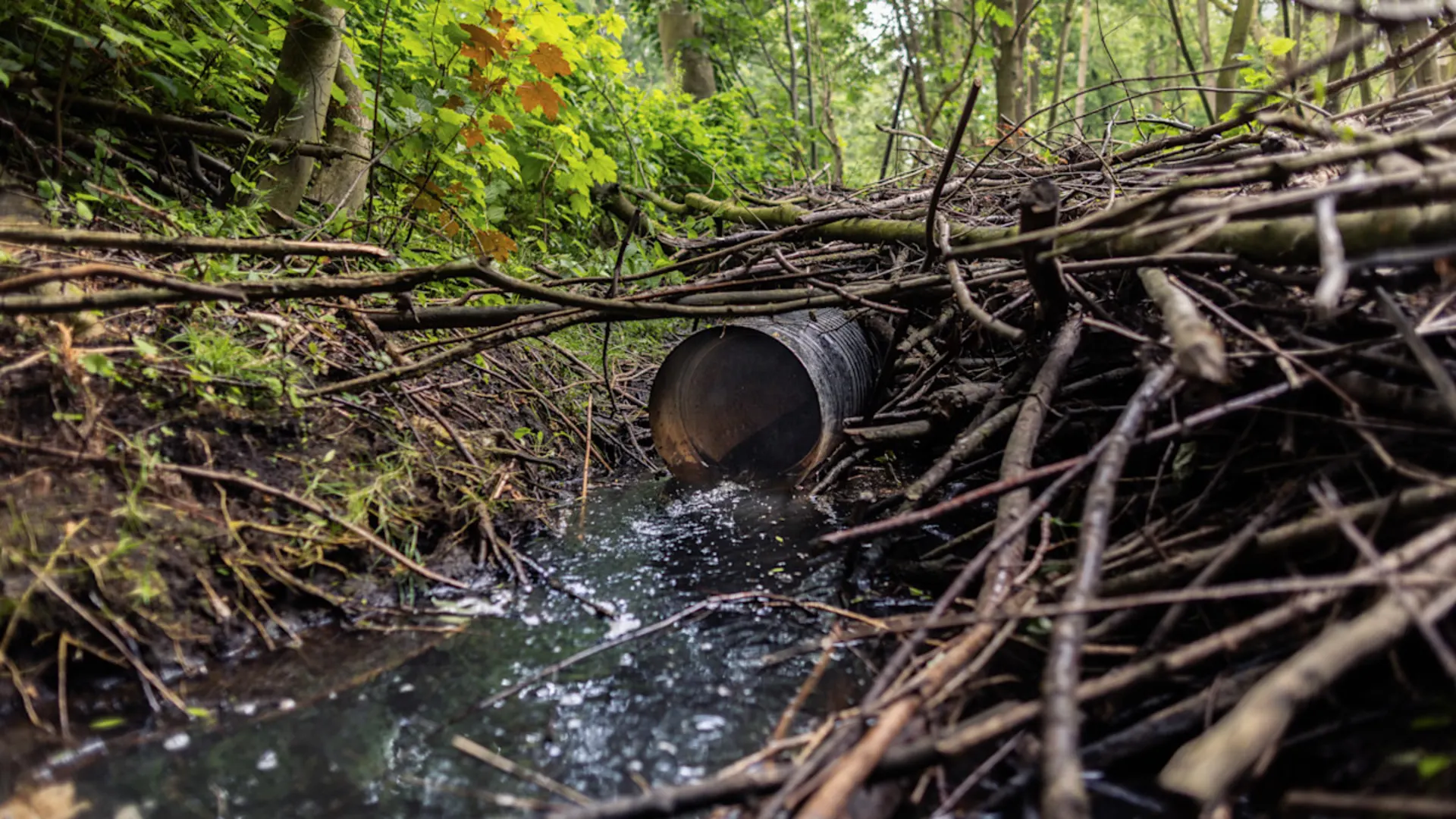 Regenwasser im Wald Durch ein Rohr abfließendes Regenwasser unter einem Pfad in einem Wald